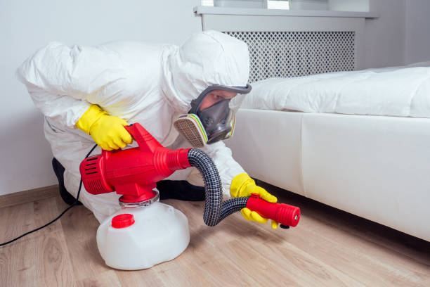 Wildlife Control Services in Lake Placid, FL