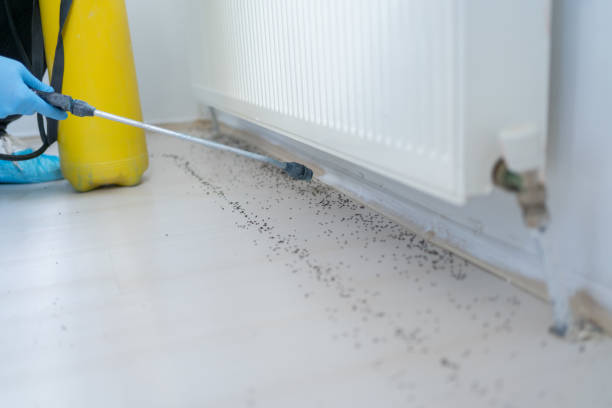 Best Wildlife Control Services  in Lake Placid, FL
