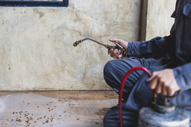 Best Exterminator Services  in Lake Placid, FL